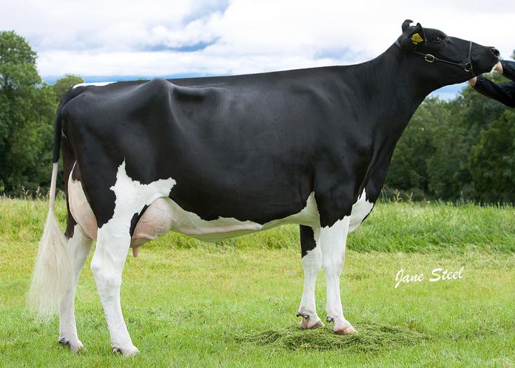 Gdam of Rhattigan