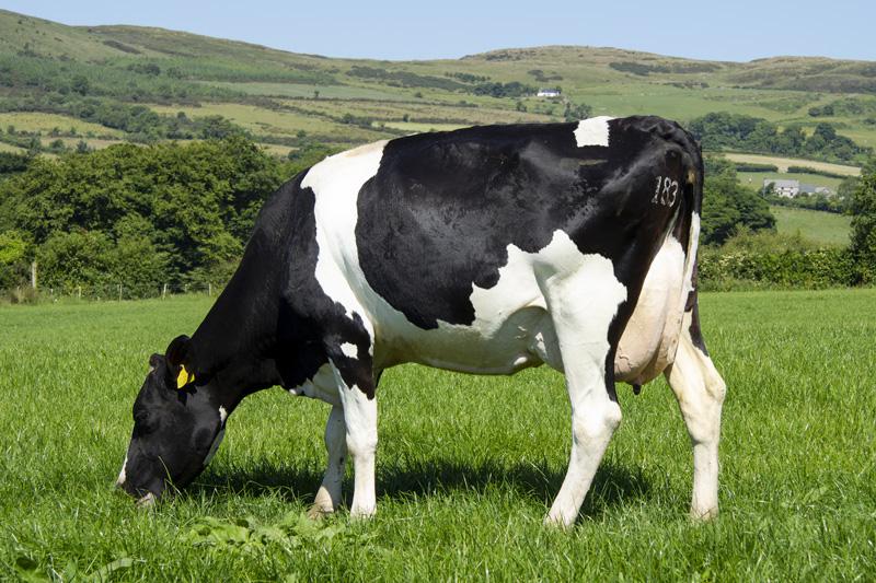 Dam of Tornado