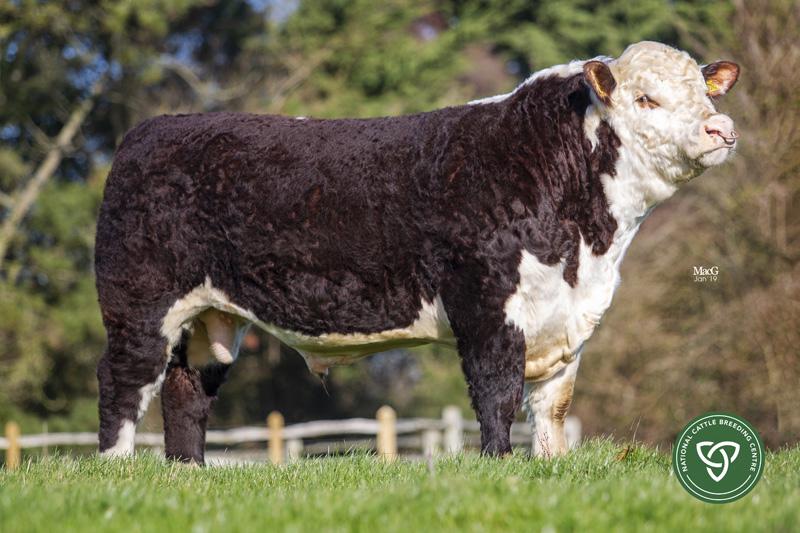 FISHER 1 PROFILE P456