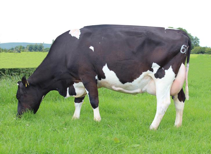 Longview Doneen Jan VG pic2