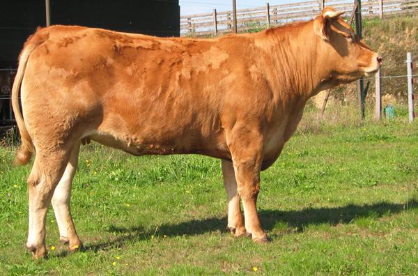 Ozeus daughter