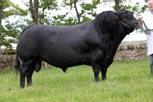 BLACKHAUGH TIME F610