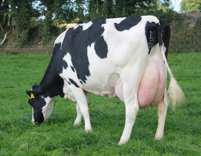 PKR-Dam-PARKDUV-JILL-21-VG88.jpg