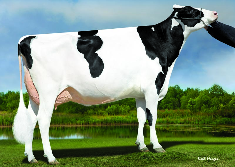 (DAM OF STONE-FRONT ARTIST) TJR ARIETA McCUT 2256 EX95