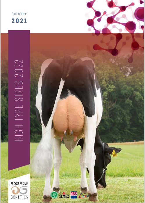 Dairy High Type catalogue 2022