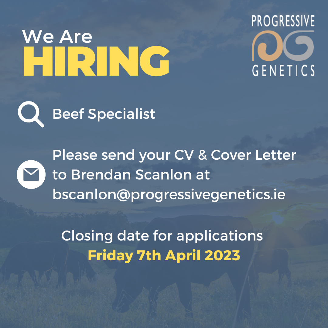 Beef Specialist (Facebook & Instagram) Beef Specialist (Facebook & Instagram)