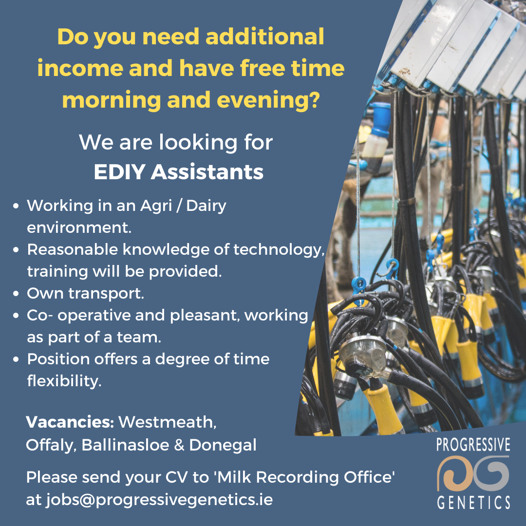 EDIY Assistants EDIY Assistants