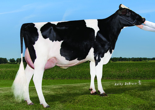 FR8733_Grand dam of Hailstone