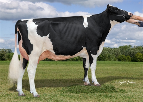 FR9746_Hampshire