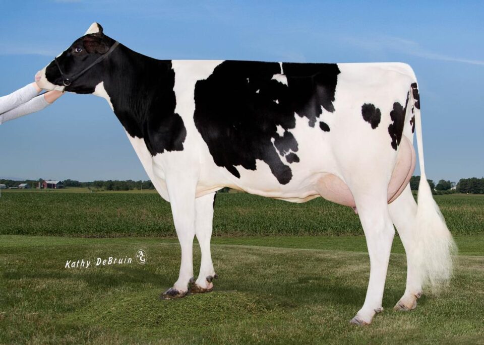 FR8223