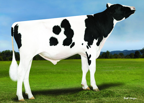 Denovo Pro FR8079