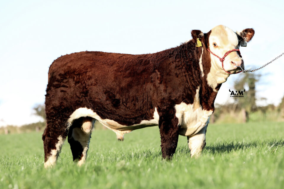 Appel 1 Christophe profile