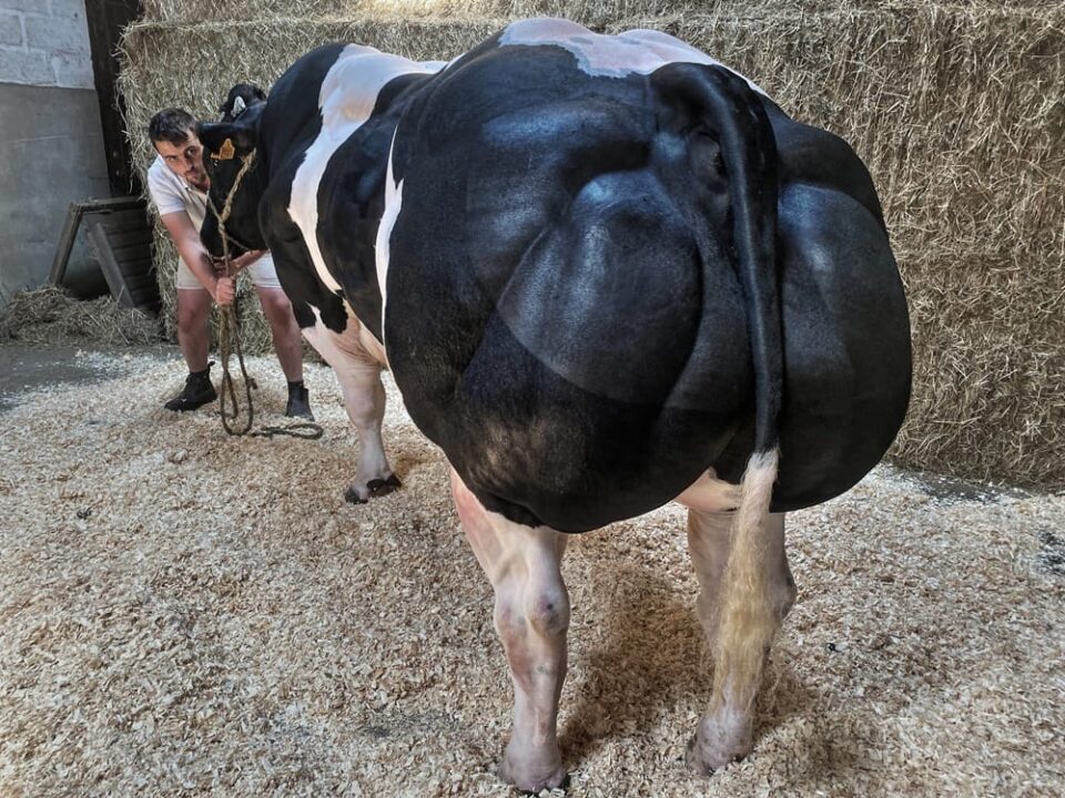 Django-hdr Django-hdr