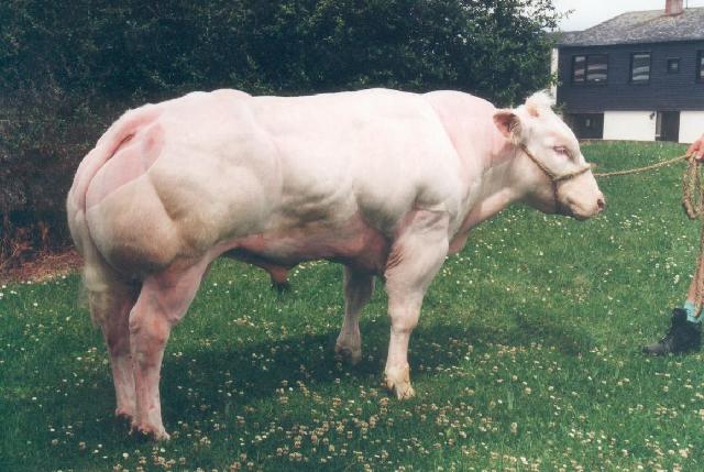 Torrero-12798139 Torrero-12798139