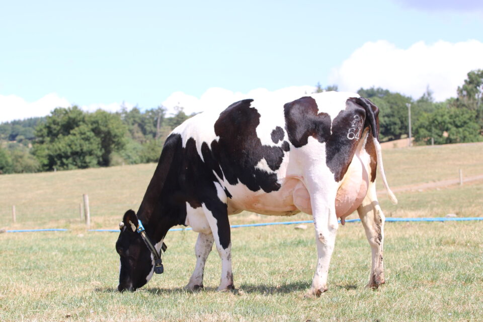 Dam of Almaty Dam of Almaty