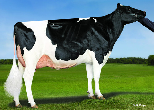 Rewood - 5th Dam Klassic Rbcn Bubblebath ET VG 88 Rewood - 5th Dam Klassic Rbcn Bubblebath ET VG 88